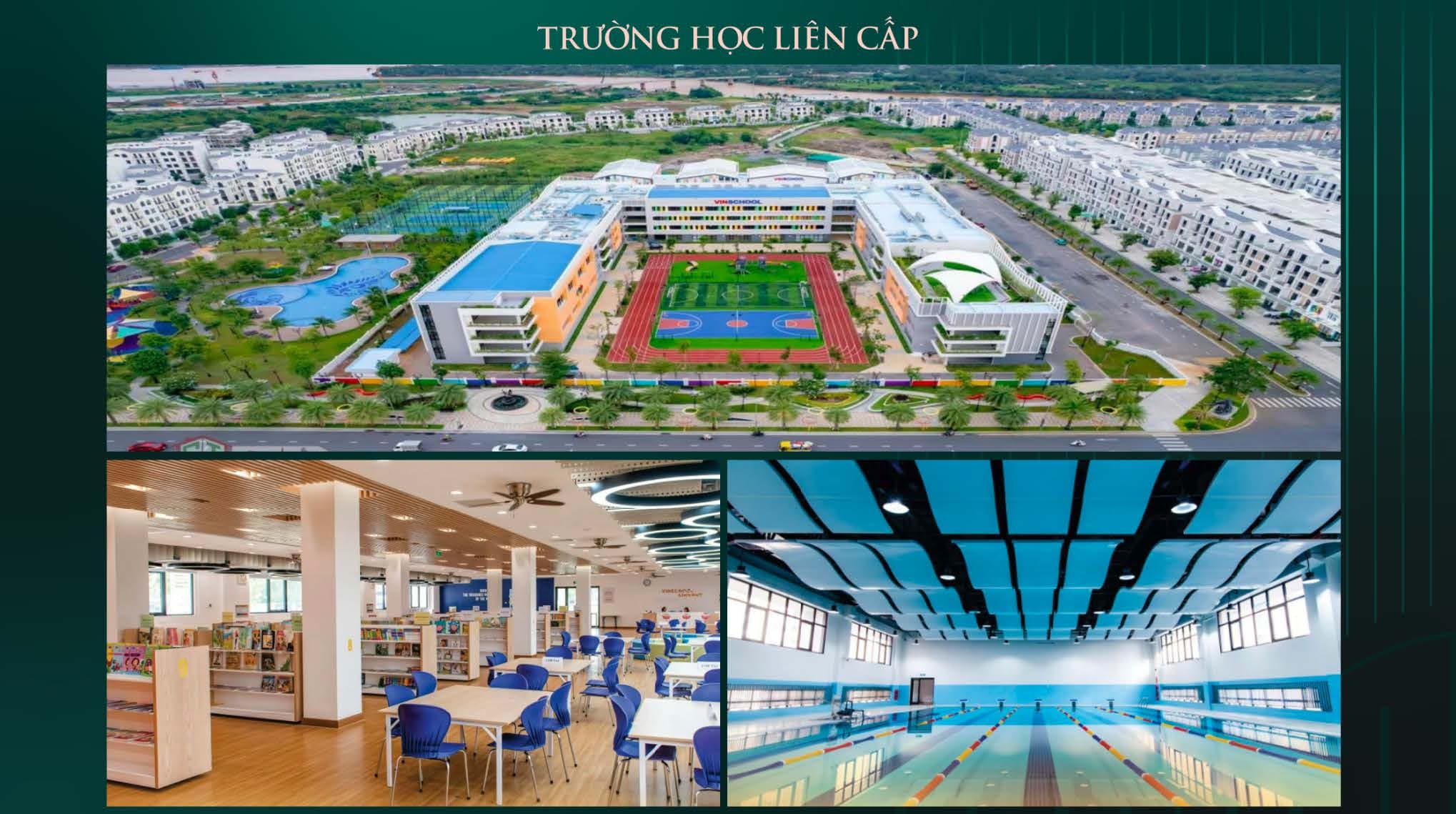 Trường học Vinschool